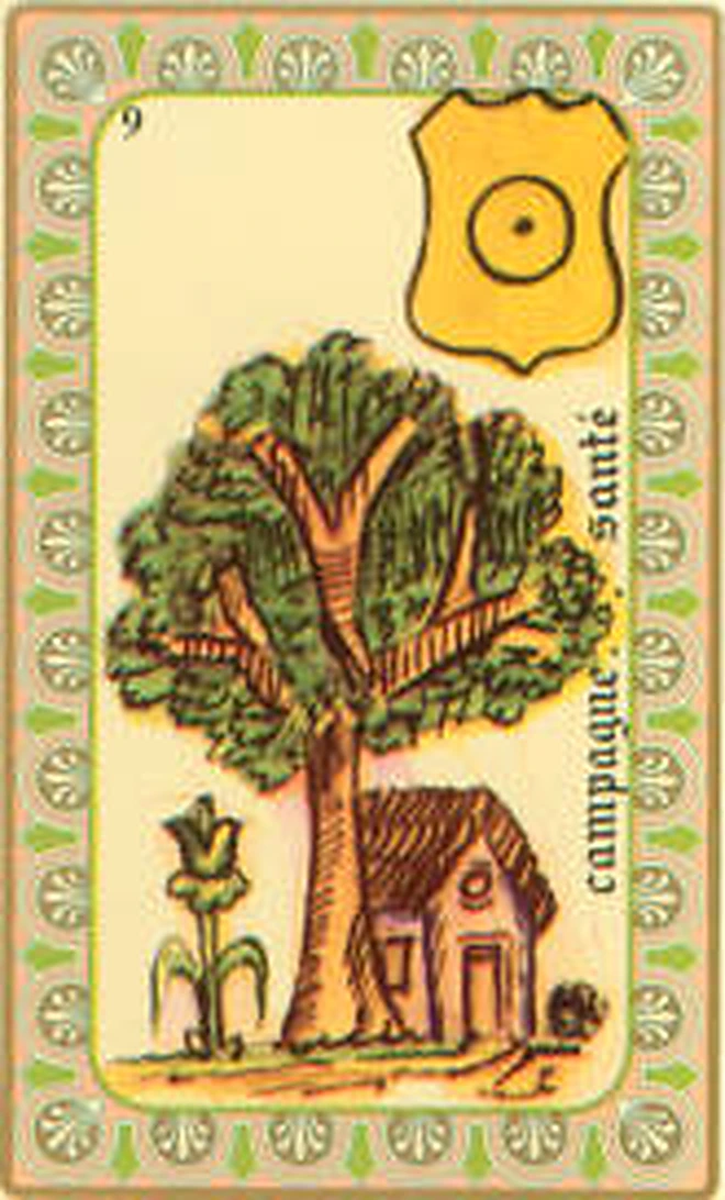 Carte 09 Campagne-Santé de l’Oracle Belline